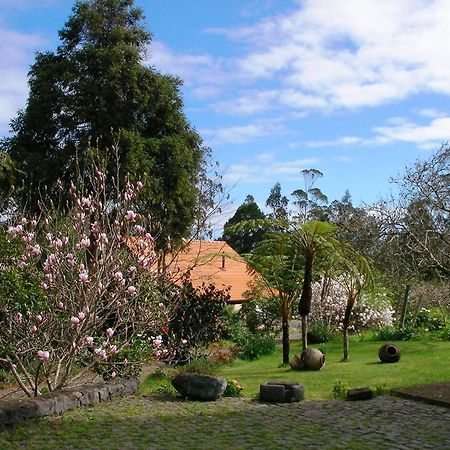 Bio Quinta Do Pantano, Agro Turismo Villa Santo Antonio da Serra Exteriör bild