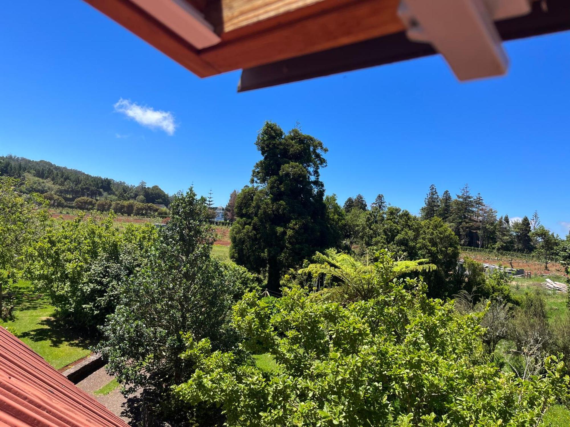 Bio Quinta Do Pantano, Agro Turismo Villa Santo Antonio da Serra Exteriör bild