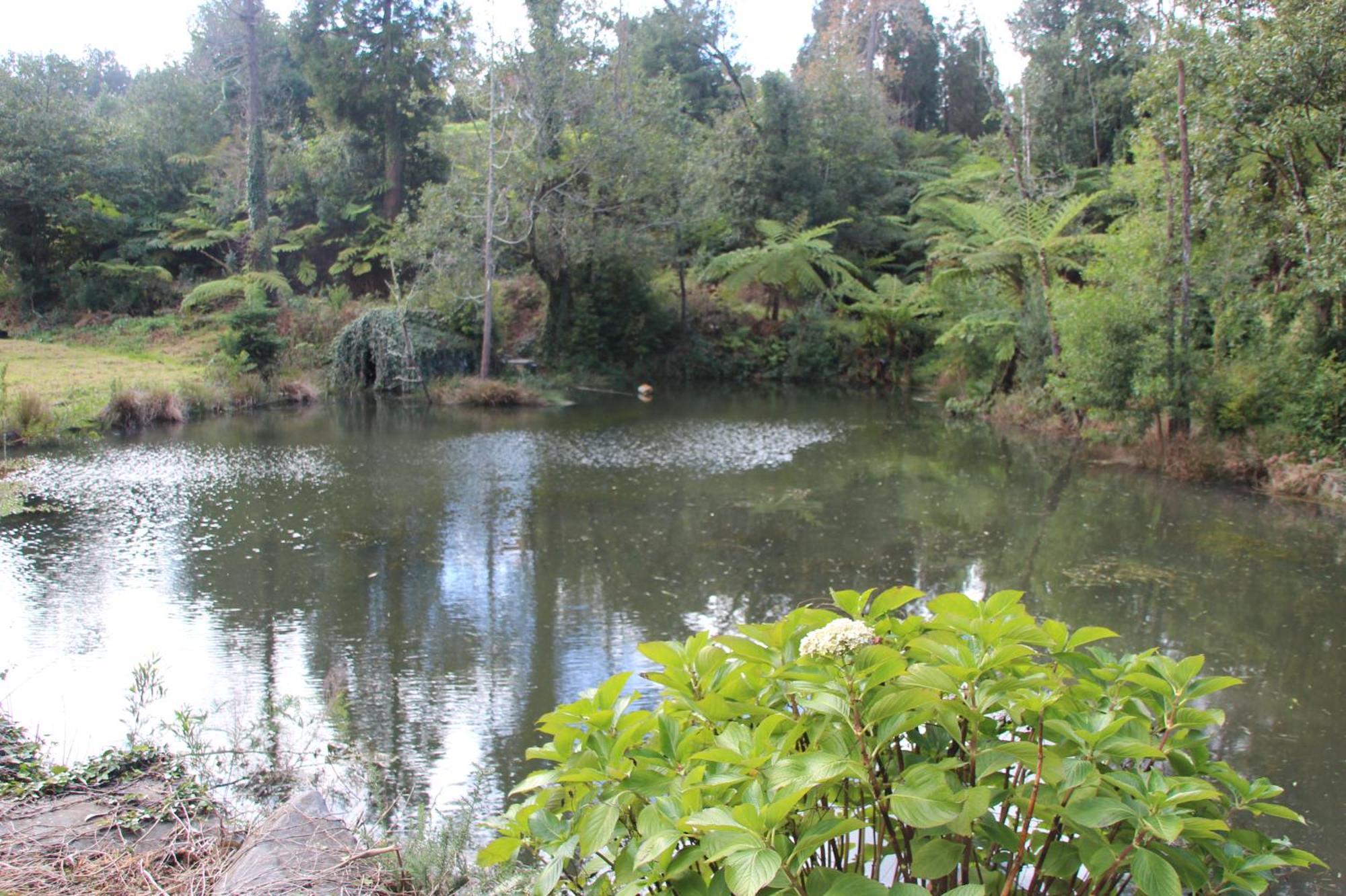Bio Quinta Do Pantano, Agro Turismo Villa Santo Antonio da Serra Exteriör bild