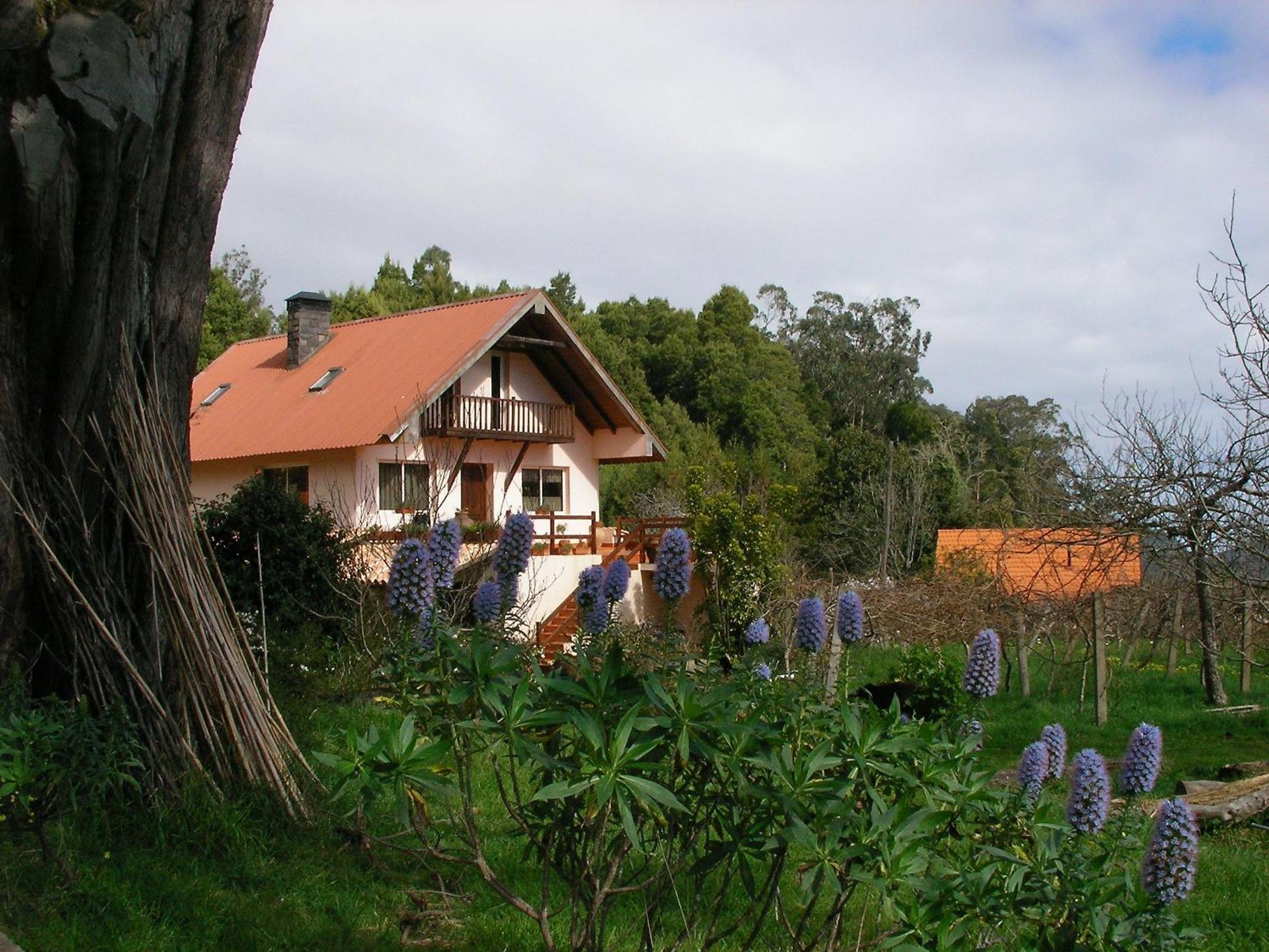 Bio Quinta Do Pantano, Agro Turismo Villa Santo Antonio da Serra Exteriör bild