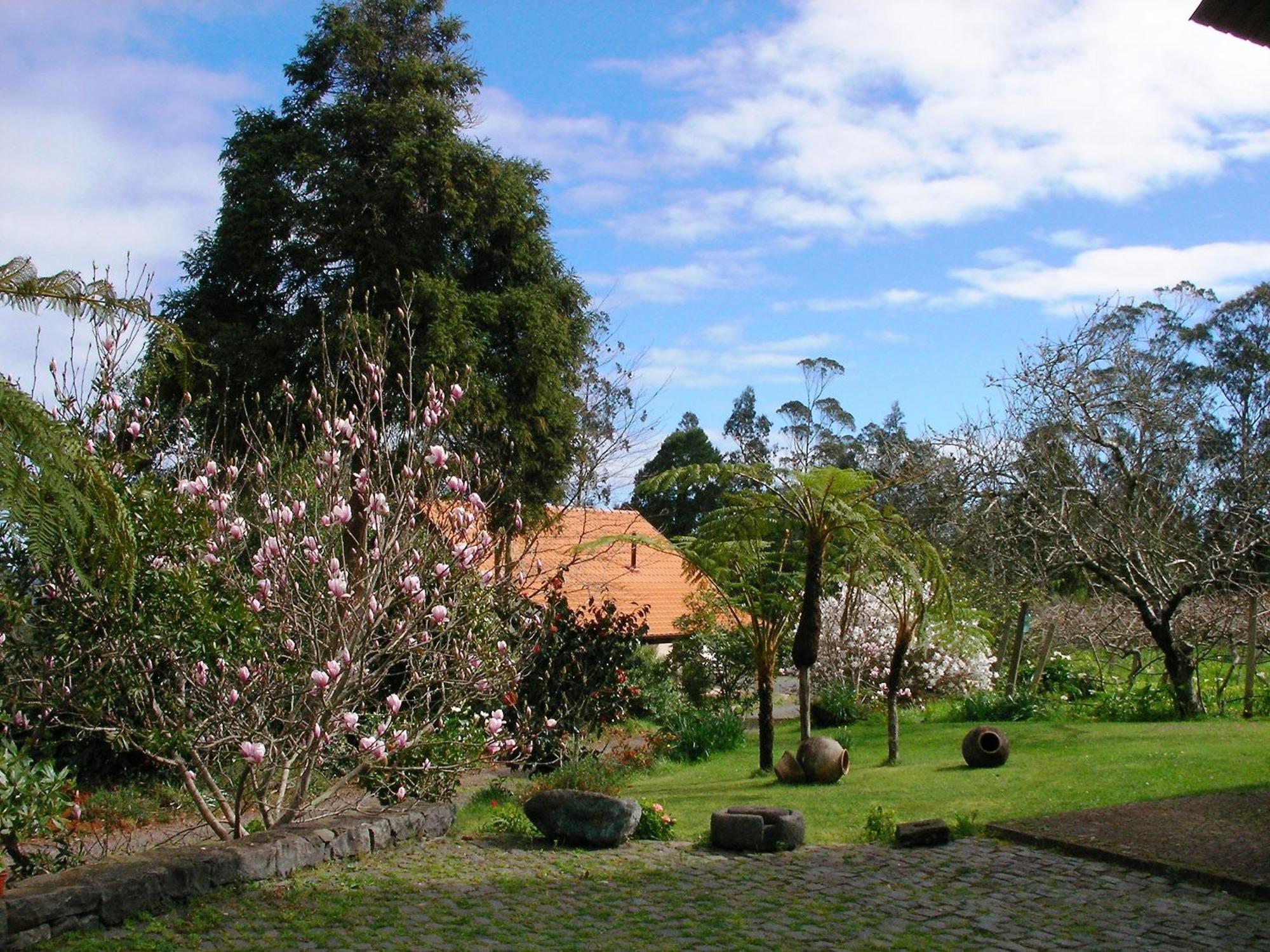 Bio Quinta Do Pantano, Agro Turismo Villa Santo Antonio da Serra Exteriör bild