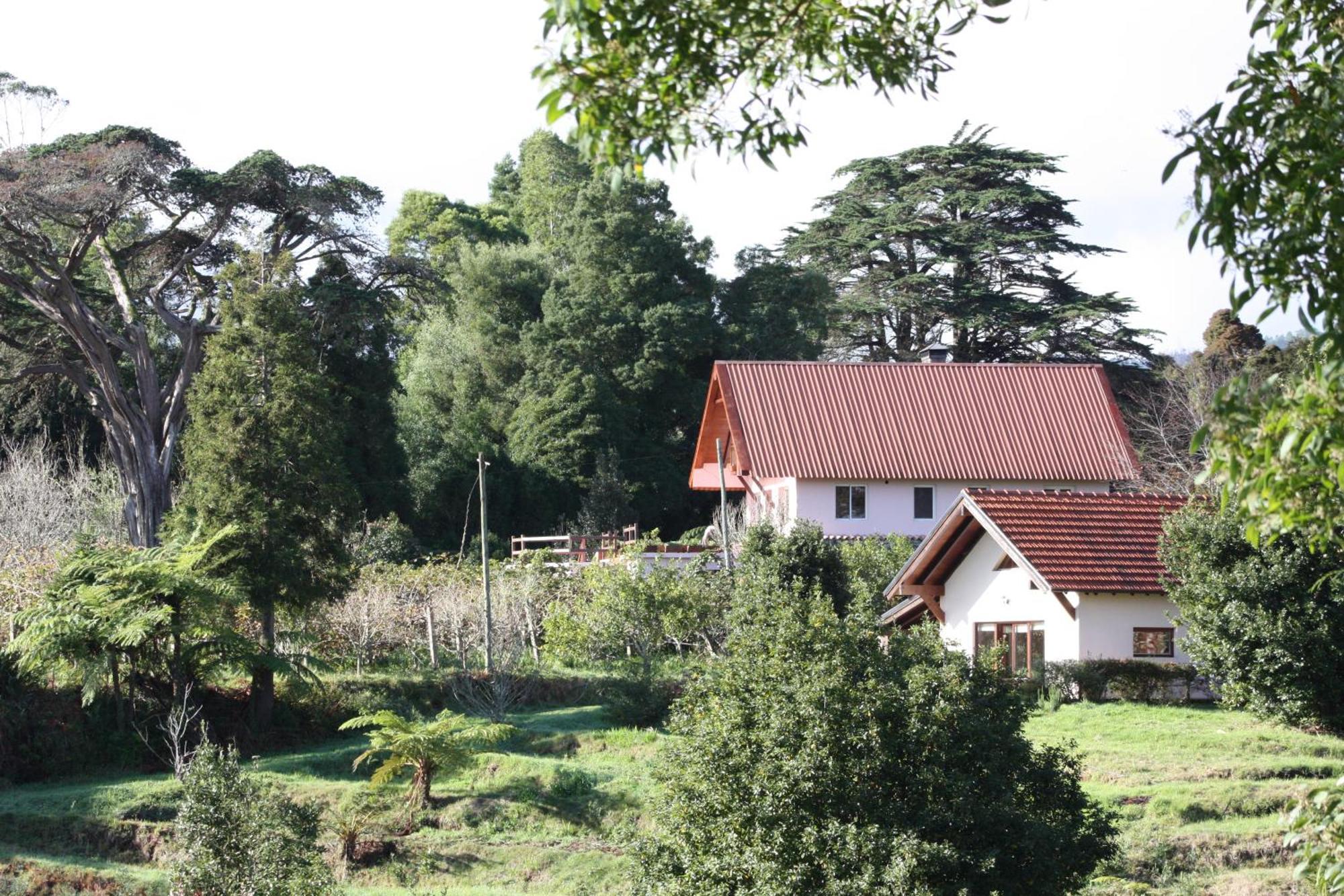 Bio Quinta Do Pantano, Agro Turismo Villa Santo Antonio da Serra Exteriör bild