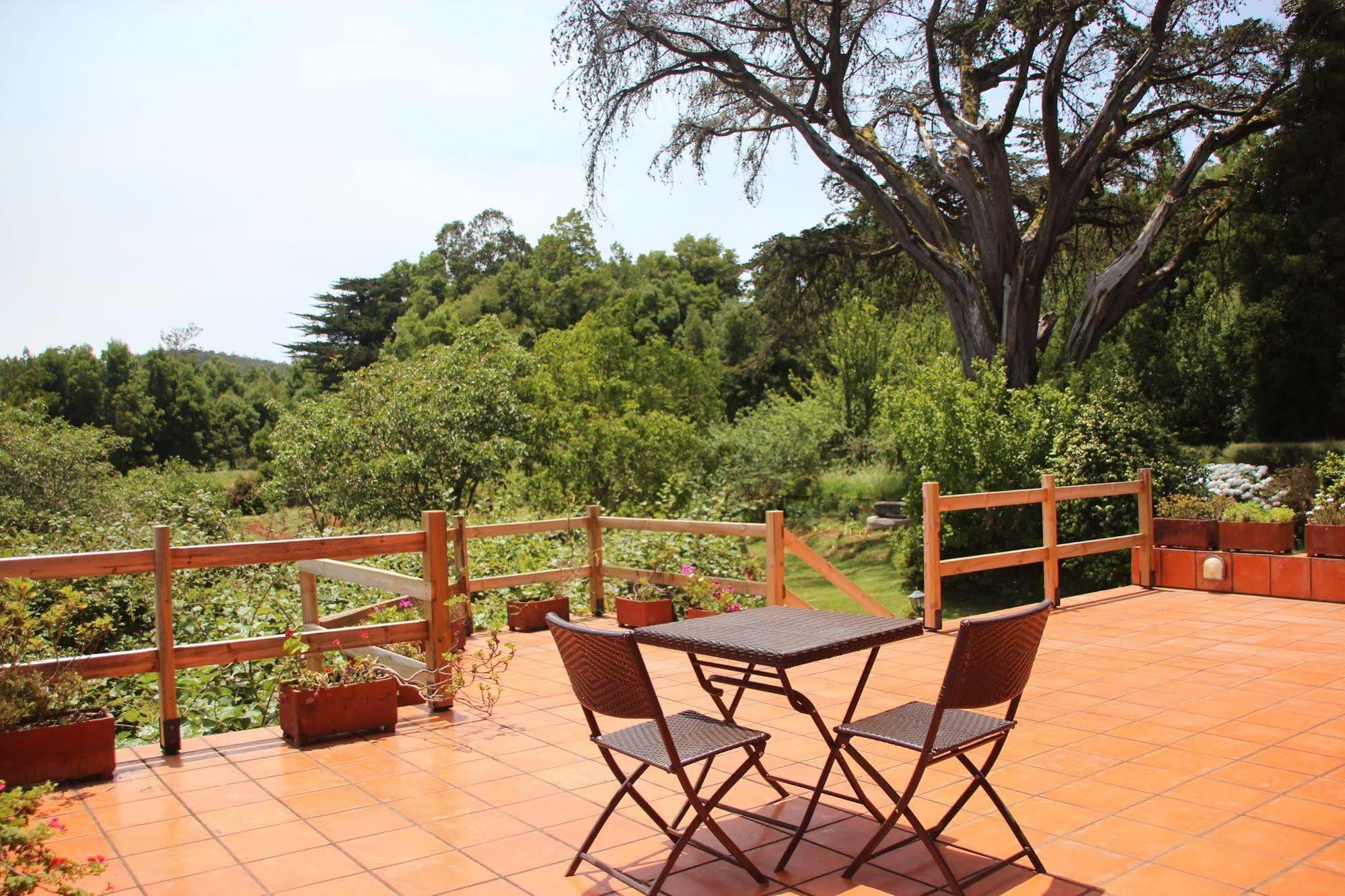 Bio Quinta Do Pantano, Agro Turismo Villa Santo Antonio da Serra Exteriör bild